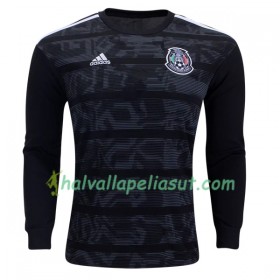 Jalkapallo Pelipaidat Meksiko Kotipaita Copa América 2019 Pitkähihainen